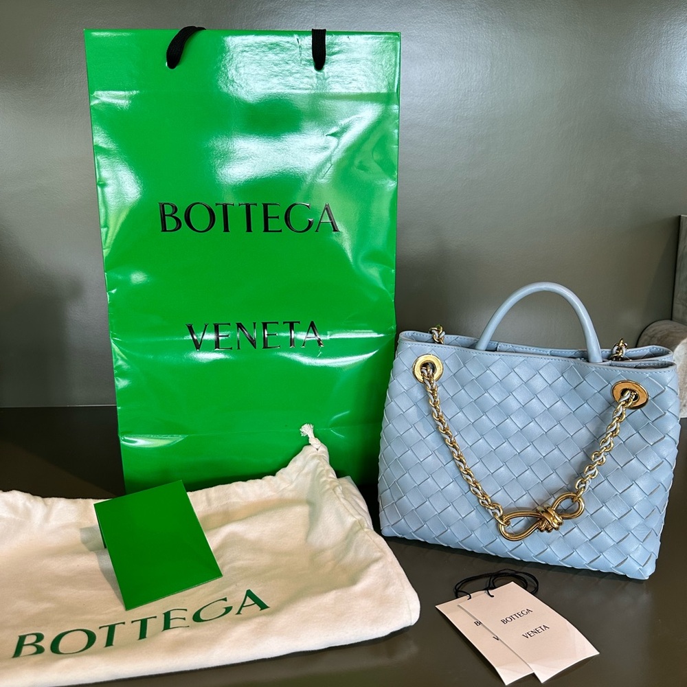NEW Bottega Veneta small Andiamo in sold out baby blue!